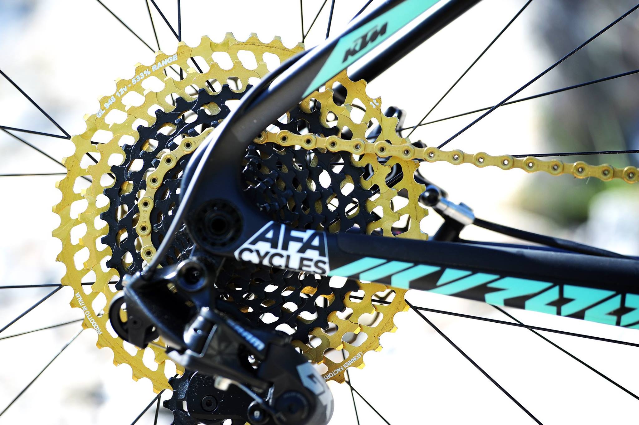 Myroon-glory-by-daniela-pereira-afacycles-04