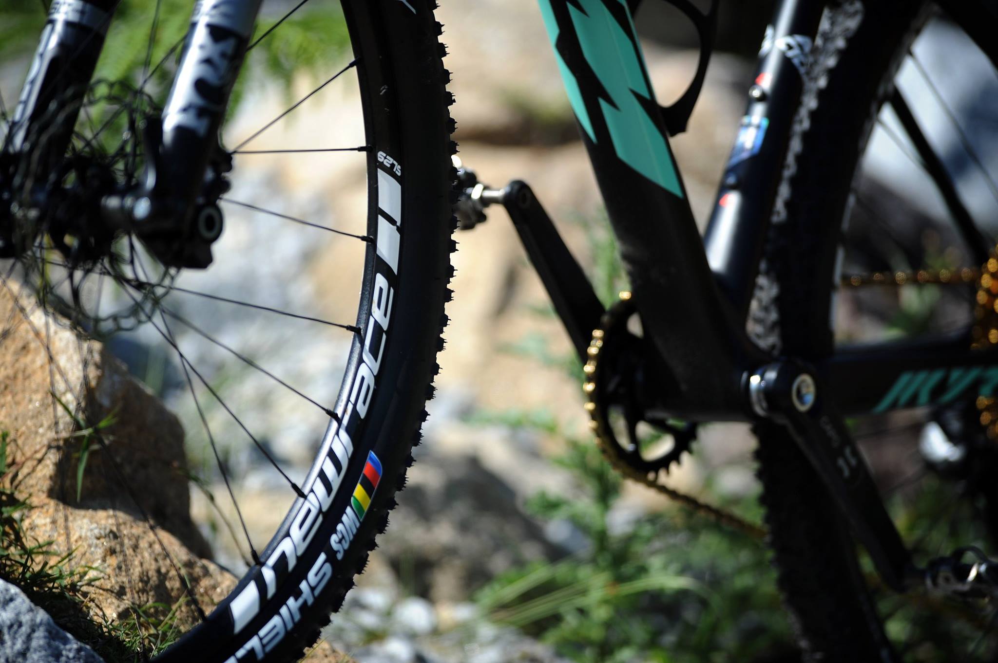 Myroon-glory-by-daniela-pereira-afacycles-11