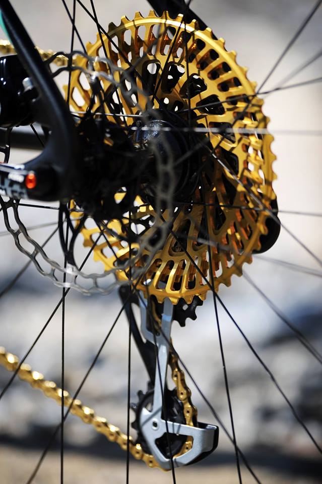 Myroon-glory-by-daniela-pereira-afacycles-16