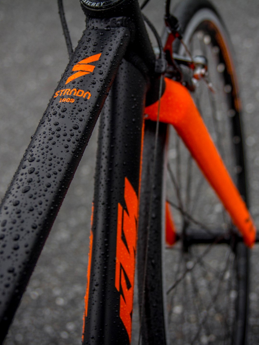 Strada 1000 (3)